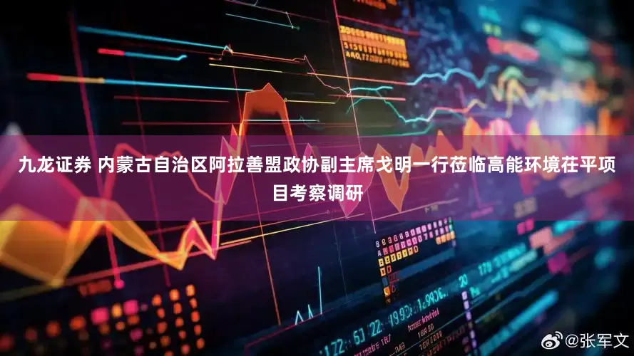 九龙证券 内蒙古自治区阿拉善盟政协副主席戈明一行莅临高能环境茌平项目考察调研