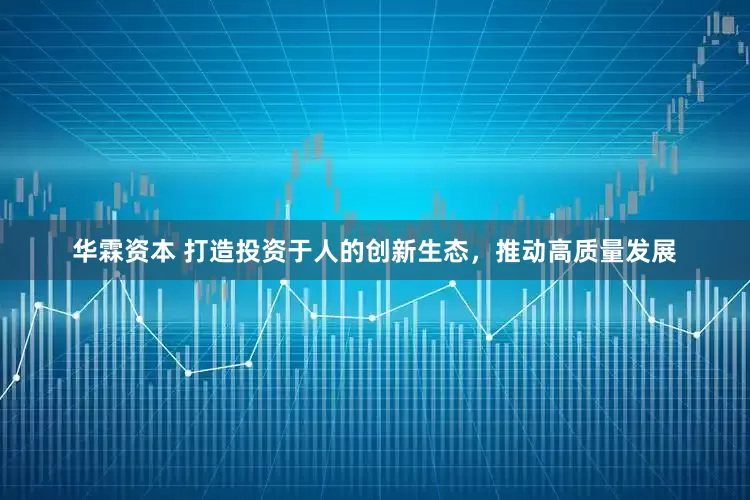 华霖资本 打造投资于人的创新生态，推动高质量发展